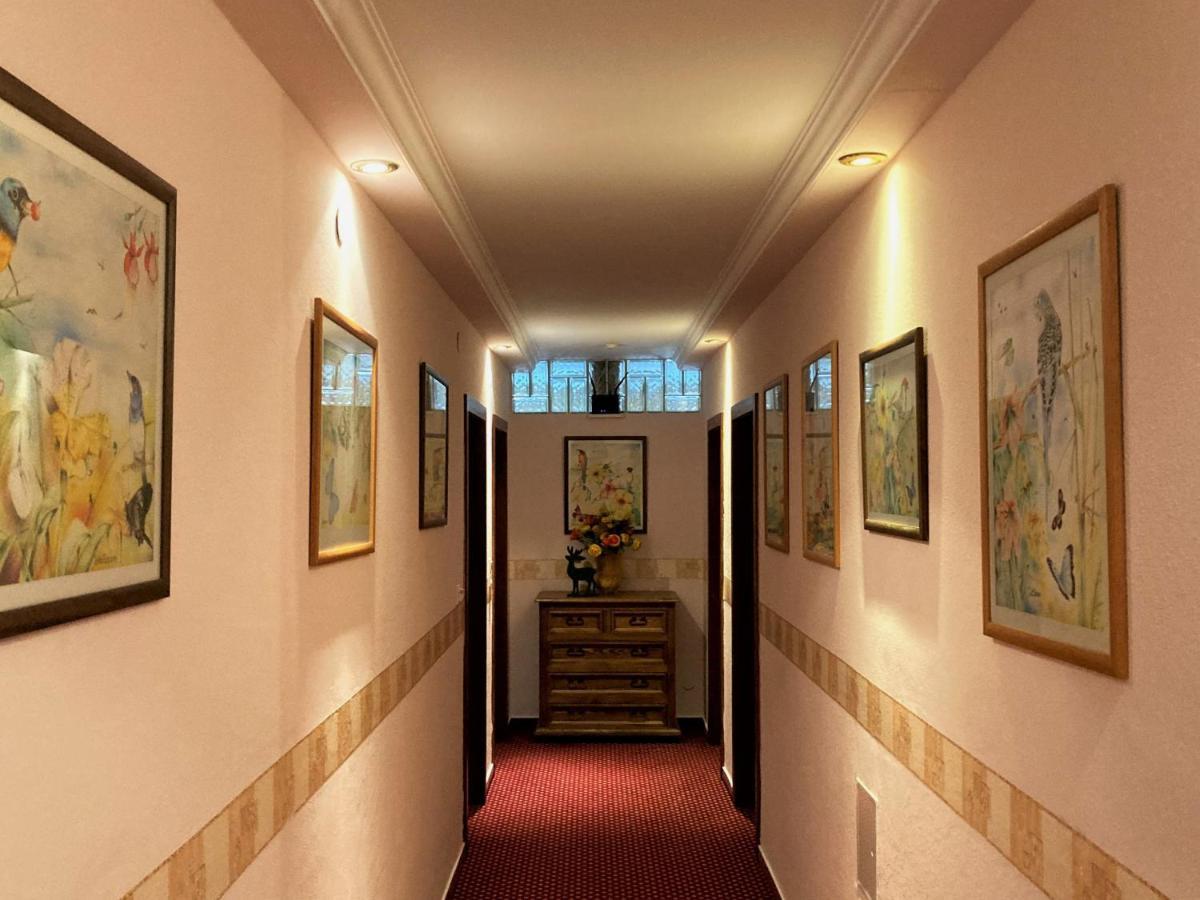 Hotel Haus Treffer Kirchdorf in Tirol Exteriér fotografie